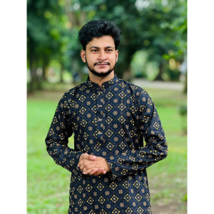 প্রিমিয়াম কোয়ালিটি পাঞ্জাবি kz028 6b